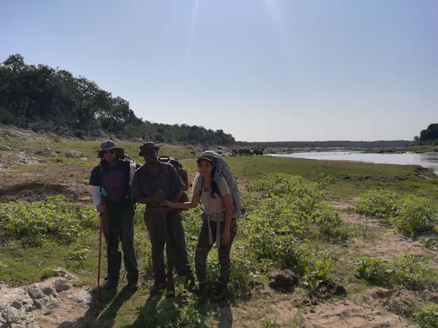 Kruger National Park: 3-Hour Walking Safari - Plants you can touch, and why medicinal knowledge matters