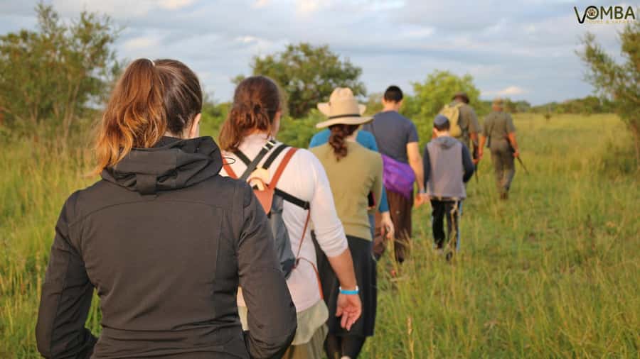 Kruger National Park: 3-Hour Walking Safari - Where the time goes: transfers, gate access, and getting back to Hazyview