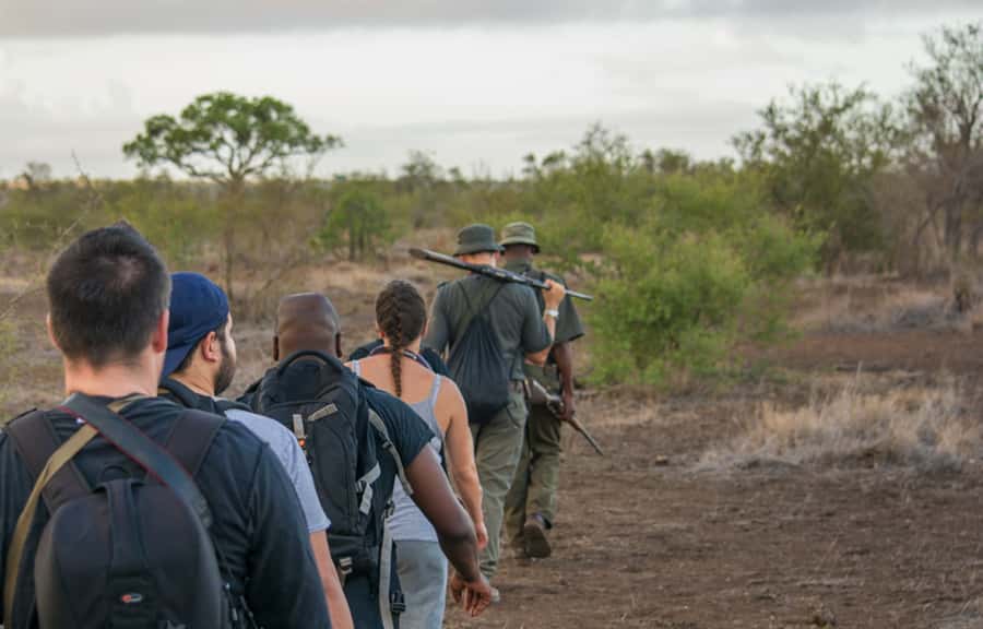 Kruger National Park: 3-Hour Walking Safari - Your guide, the group size, and the learning style