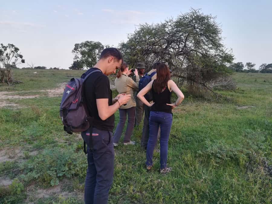 Kruger National Park: 3-Hour Walking Safari - Cost and value: what $138 covers, and what you still pay for
