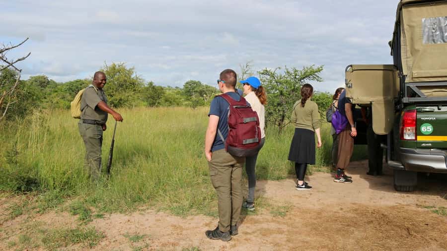 Kruger National Park: 3-Hour Walking Safari - Who this tour is best for, and who should skip it