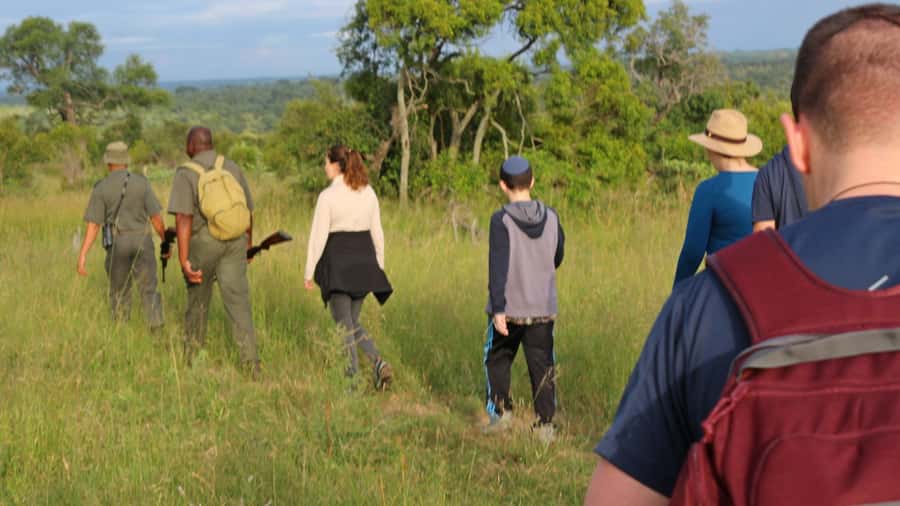 Kruger National Park: 3-Hour Walking Safari - Booking quick points to keep it smooth