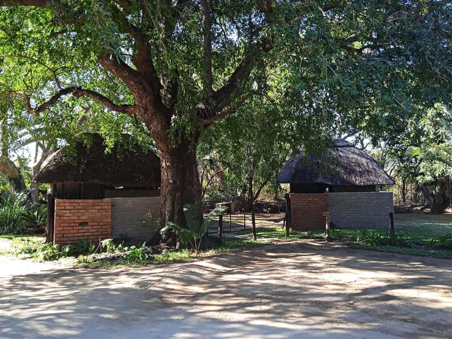 Kruger National Park - 4 Day Safari Tour - How to pack for open vehicles, a boat cruise, and a bush walk