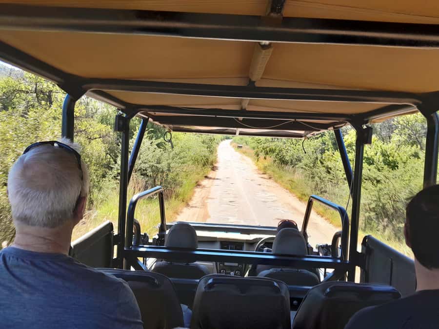 Kruger National Park: 4-Day Ultimate Safari Tour - Day 2: Full Day Game Drive Rhythm (4-Hour Morning, 4-Hour Afternoon)