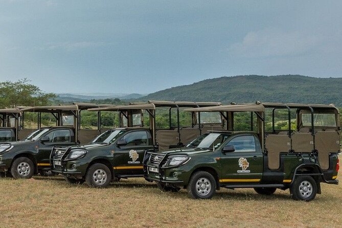 Kruger National Park Afternoon Private safari - Getting Value from 5 Hours: How to Think About the Time