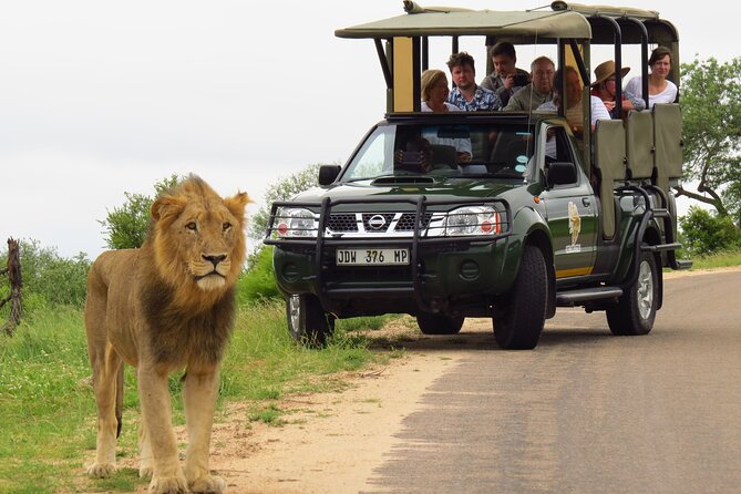 Kruger National Park Afternoon Private safari - Who This Private Kruger Safari From Hazyview Is Best For