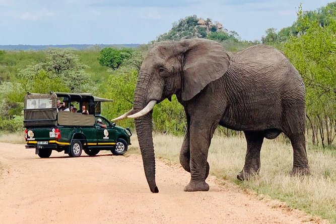 Kruger National Park Full Day Private safari - Key things to know before you go