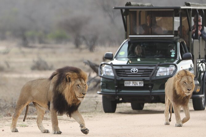 Kruger National Park Full Day Private safari - Who this safari is best for (and who should skip it)