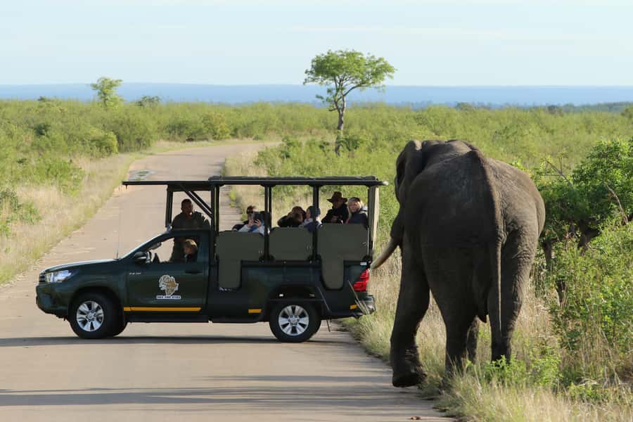 Kruger National Park: Full-Day Private Safari With Pickup - Quick hits for a smarter Kruger day