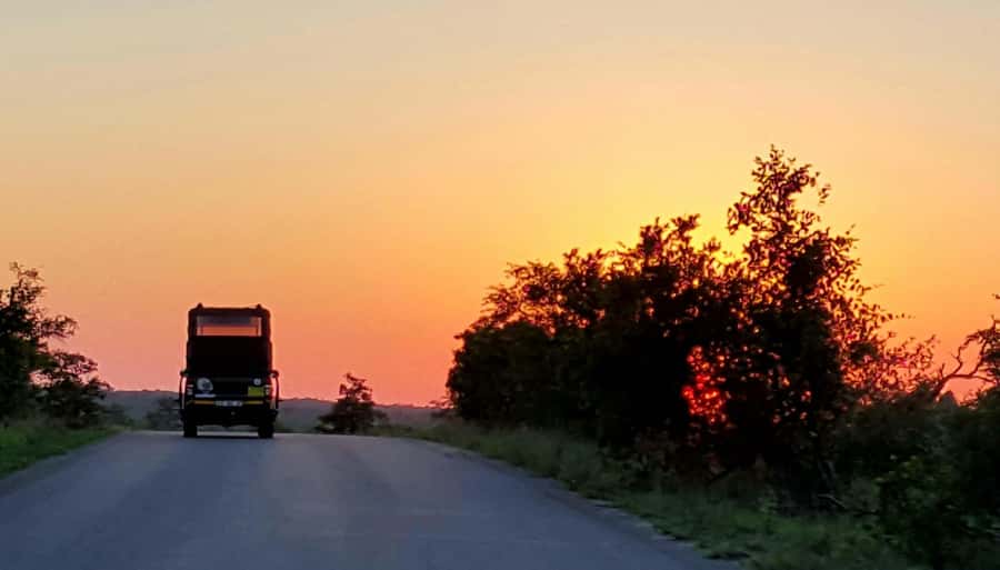 Kruger National Park: Full-Day Private Safari With Pickup - The open safari vehicle experience, from better spotting to better photos