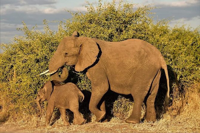 Kruger National Park Full Day Tour Minimum 2people - Getting into Kruger for hours, what your day actually feels like