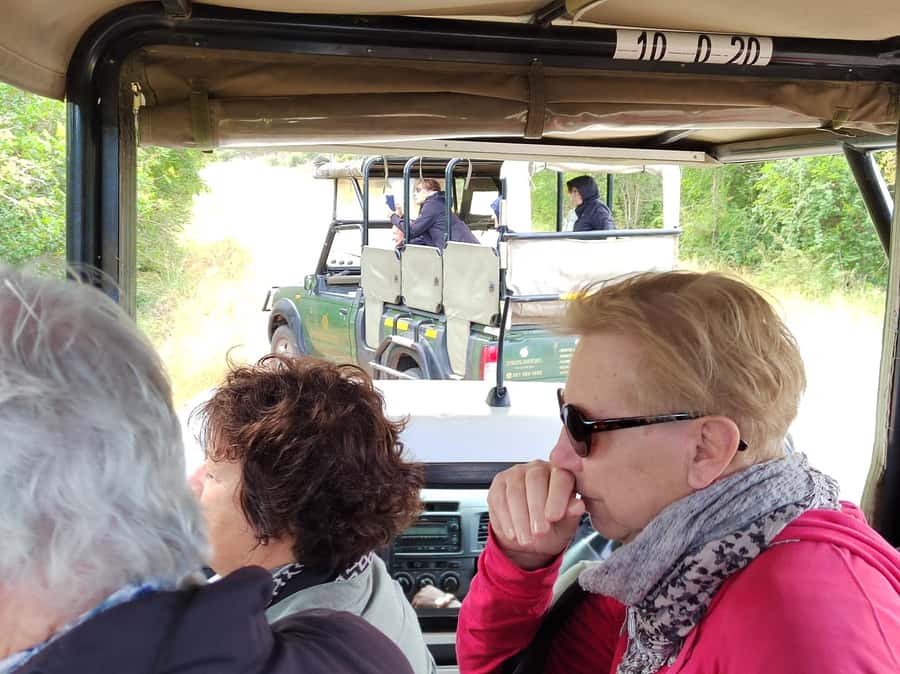 Kruger National Park half day - Key highlights that matter on the ground