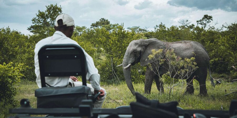 Kruger National Park half day - What I would do differently: managing the one weakness, pickup reliability