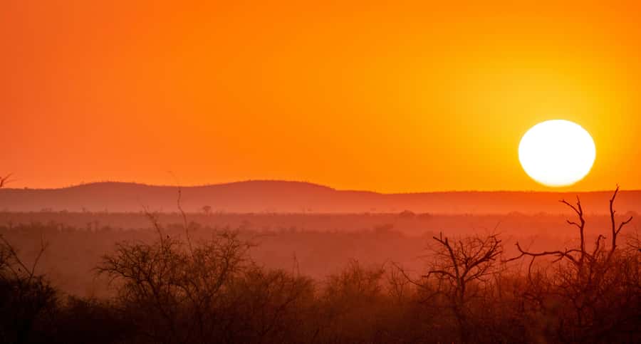 Kruger National Park half day - Afternoon search for the elusive: cheetahs, wild dogs, and rhinos