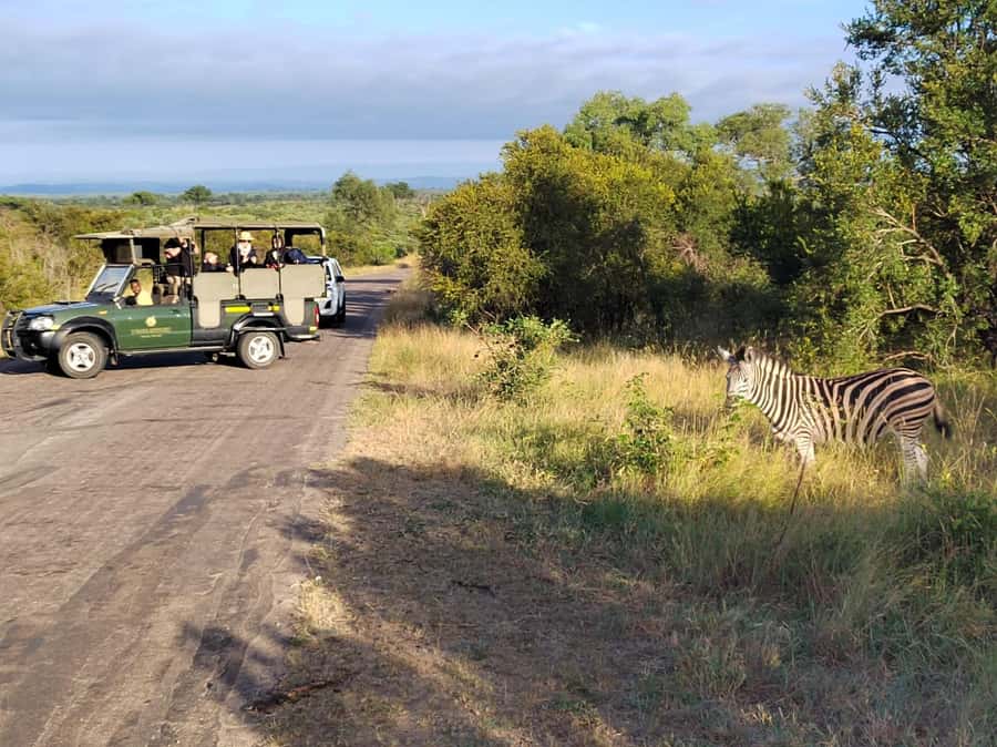Kruger National Park half day - Inside the safari vehicle: comfort, visibility, and why open matters