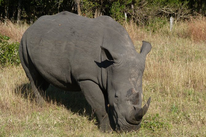 Kruger National Park Morning Game Drive from Hazyview - Skukuza breakfast stop: a real break, but plan your budget