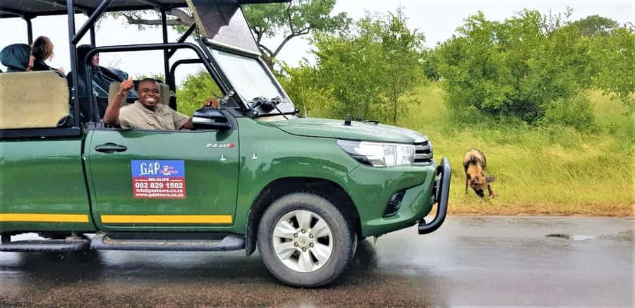 Kruger National Park: Morning Safari - The private safari vehicle: comfort, visibility, and real spotting time
