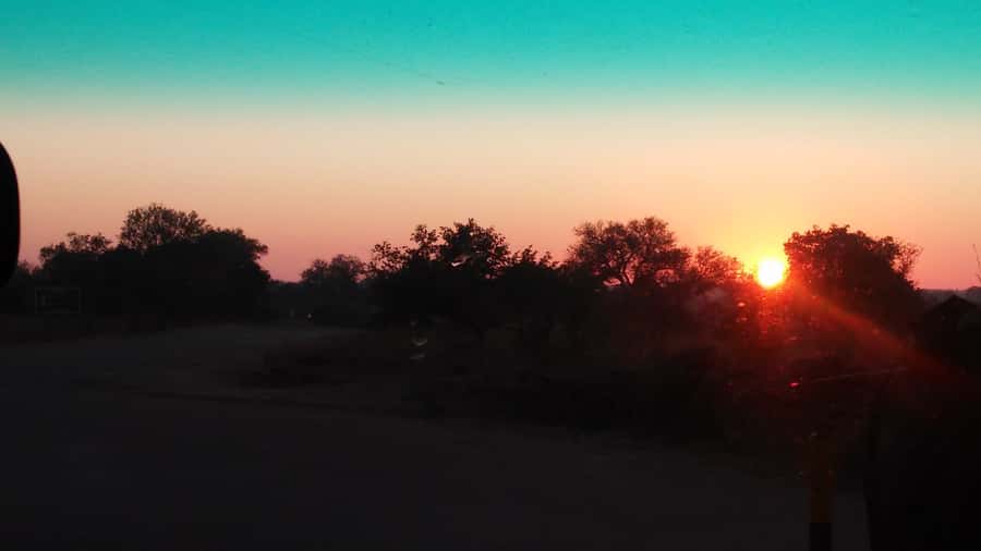 Kruger National Park Morning Safari - Who this Kruger morning safari suits best