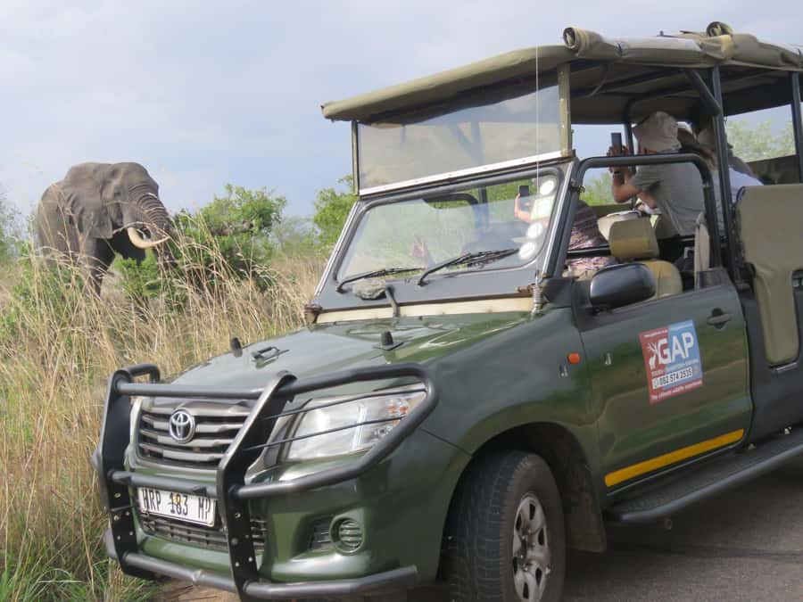 Kruger National Park: Morning Safari - Pickup and first 30 minutes: where your day gets set up