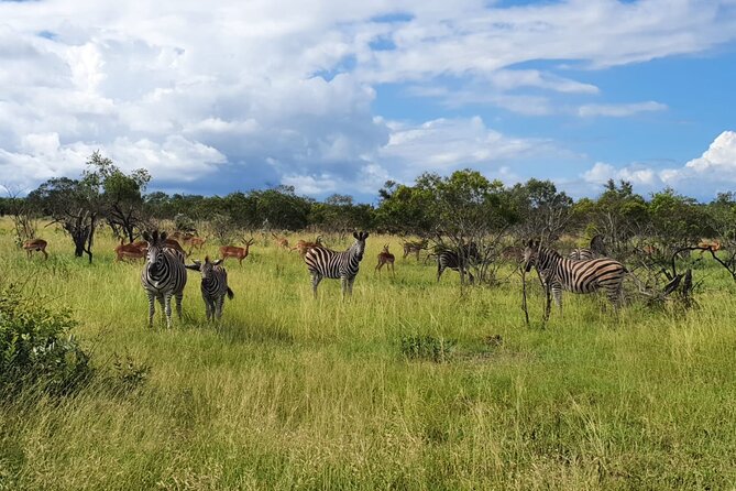 Kruger National Park & Panorama Route From Johannesburg 3 Days & 2 Nights - God’s Window: the stop that turns the canyon into a full story