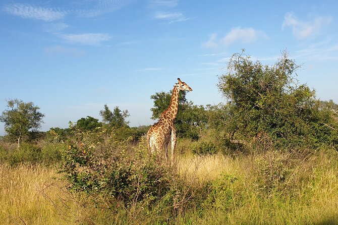 Kruger National Park & Panorama Route From Johannesburg 3 Days & 2 Nights - Graskop Gorge Lift Company: viewpoints plus shopping, with adrenaline options