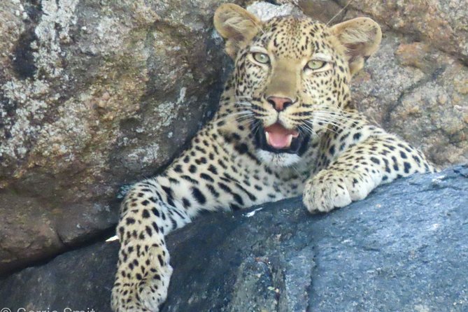 Kruger National Park - Private 3 day, 2 night safari trip. - Skukuza Base, Private Chalet Comfort, and What You Actually Get