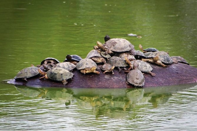 Kruger National Park - Private 3 day, 2 night safari trip. - Stop 1 in Kruger: Your First Wildlife Push