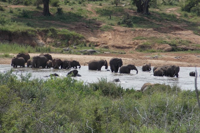 Kruger National Park - Private 3 day, 2 night safari trip. - The Full Day Structure: Sunrise, Siesta, and a Second Shot at Action
