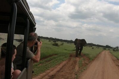 Kruger National Park Private Full-Day Safari – Private Safari Vehicle & Guide