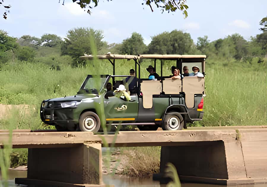 Kruger National Park Safari (Full Day) - Key highlights you’ll feel during the day