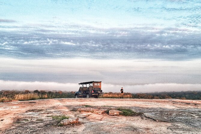 Kruger National Park Sunrise Half-Day Safari Tour - Price and Value at $187.94, Plus the Fees You Still Need to Plan For