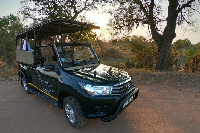 Kruger National Park Sunrise Half-Day Safari Tour - Should You Book This Kruger Sunrise Half-Day Safari?