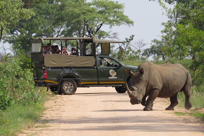Kruger National Park sunrise Morning Private safari - Key Things to Know Before You Go