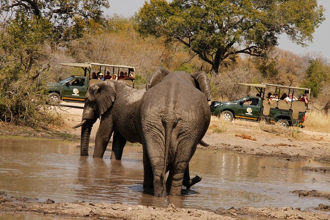 Kruger National Park sunrise Morning Private safari - Why the 5:30 am Sunrise Timing Matters in Kruger