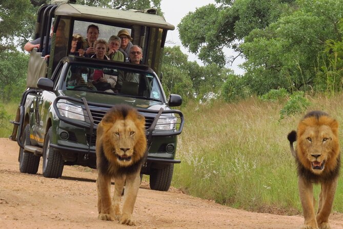 Kruger National Park sunrise Morning Private safari - What You Can Expect to See Inside Kruger at Gate Opening