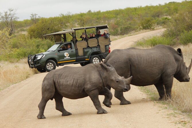 Kruger National Park sunrise Morning Private safari - Birding at First Light: More Than a Side Quest