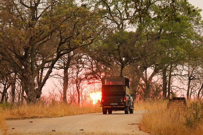Kruger National Park sunrise Morning Private safari - The “Private” Part: How It Changes the Safari Feel