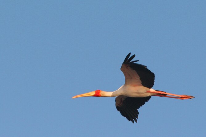 Kruger Park - Full day - Private safari vehicle - Price and value: what you are really paying for