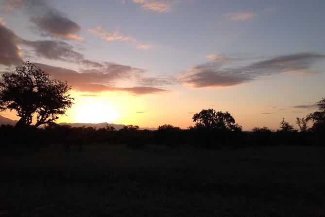 Kruger Park Safari: Guided Day Tour from Nelspruit - Big Five odds: what you can realistically hope to see
