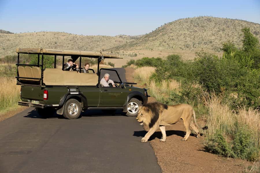 Kruger Park Scheduled Full day Safari Drive from Hoedspruit - Open Safari Vehicle Comfort and Why Panoramic Views Change the Game