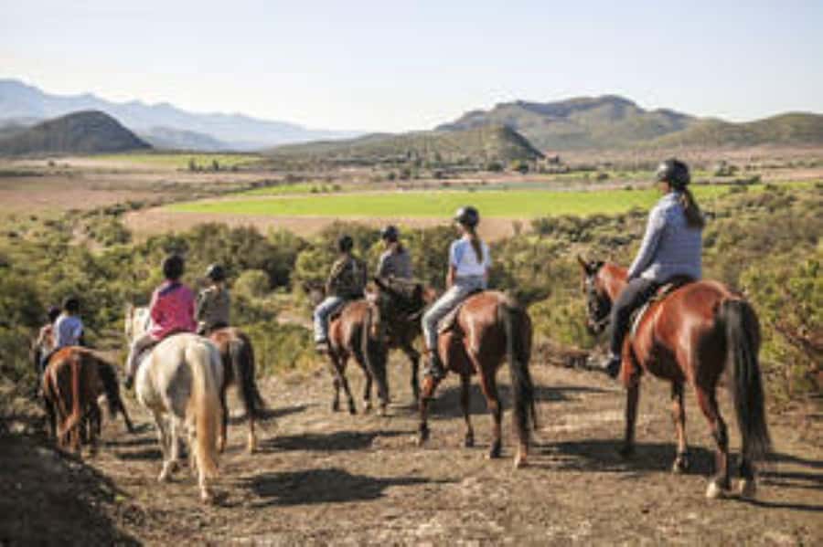 Kudu Trail Horse Riding Experience - Key things to know before you go
