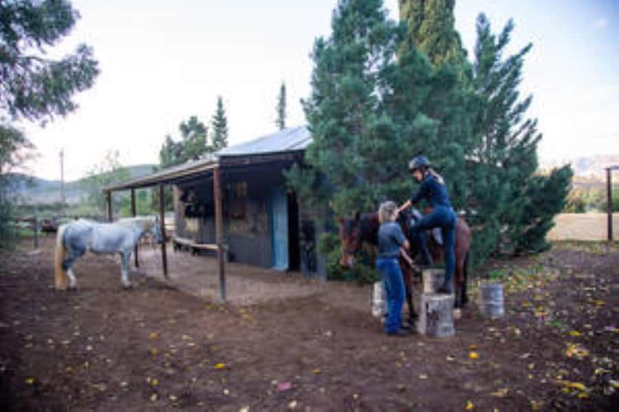 Kudu Trail Horse Riding Experience - Klein Karoo horseback riding, not just a short trail