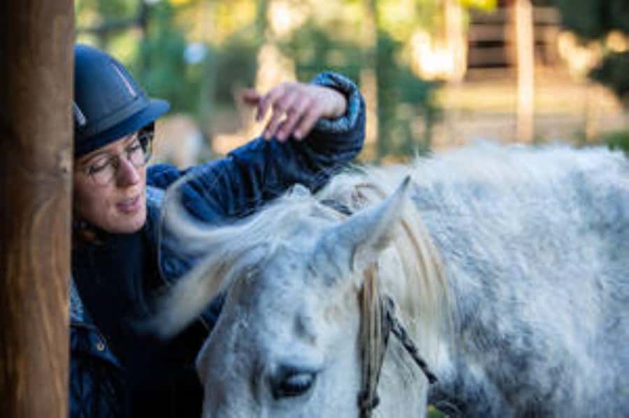 Kudu Trail Horse Riding Experience - What you actually ride, jeep tracks to game tracks