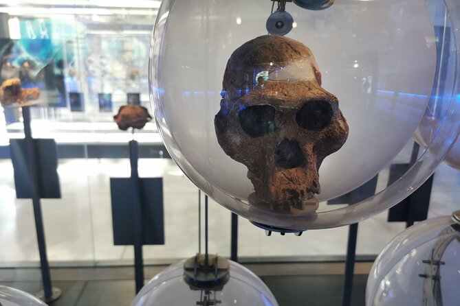Lesedi Cultural Village and Cradle of Humankind Tour - Who this tour suits best