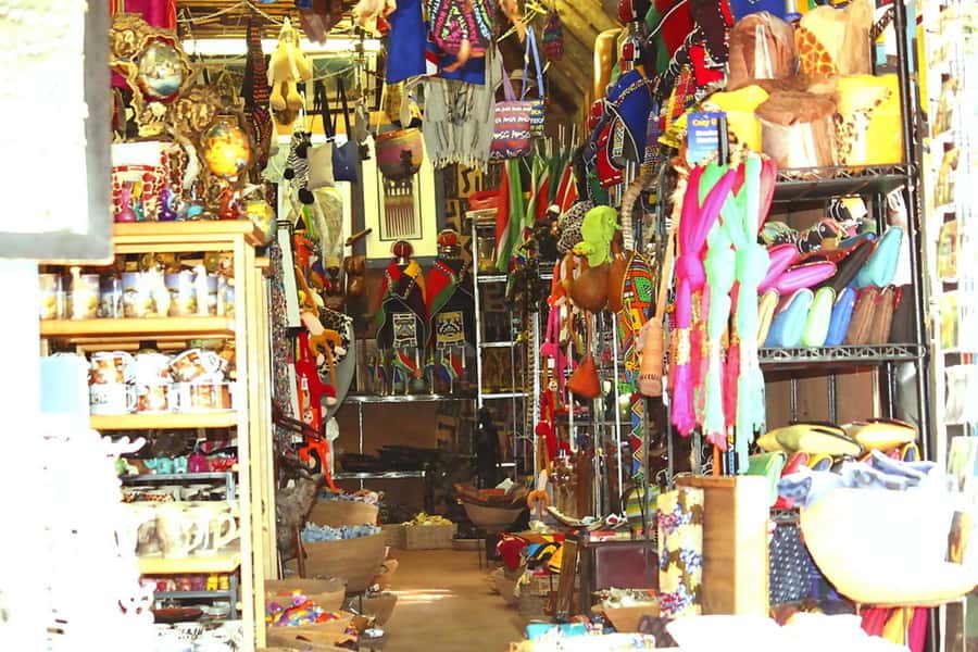 Lesedi Cultural Village Half-Day Tour - Key things that make this tour worth your time