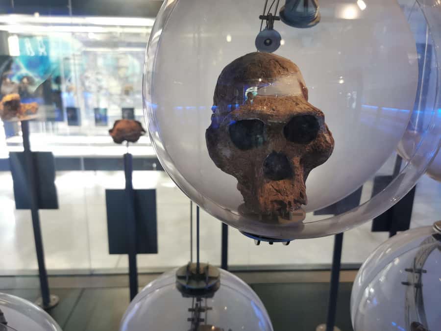 Lesedi Cultural Village, Sterkfontein Caves or Maropeng Mus - A One-Day Mix of Culture and 2-Million-Year Fossils