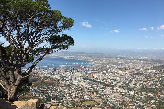 Lion's Head Hike - Private Tour - Photo stops and Cape Town views you can expect