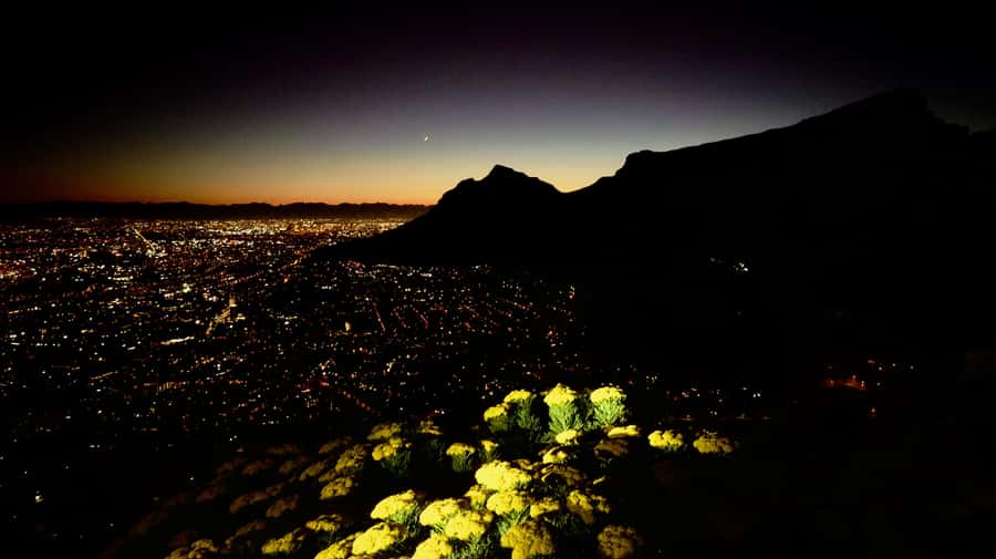 Lion's Head Sunrise or Sunset Hike + Hotel Pick-Up - Your guide (Geoff) is a big part of the value