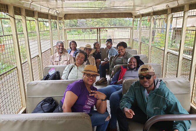 Lion & Safari Park - Spotting lions, cheetahs, giraffes, and more on the plains