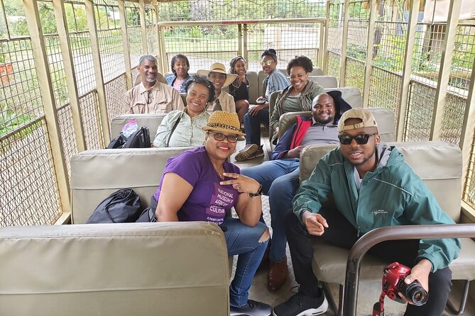 Lion & Safari Park - Photos, snacks, and what to bring for comfort